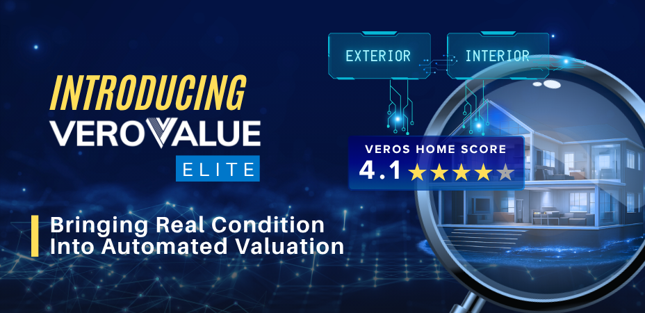 Image introducing VeroVISION