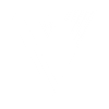 icon_reverse_SM Logo of Disaster Vision by Veros